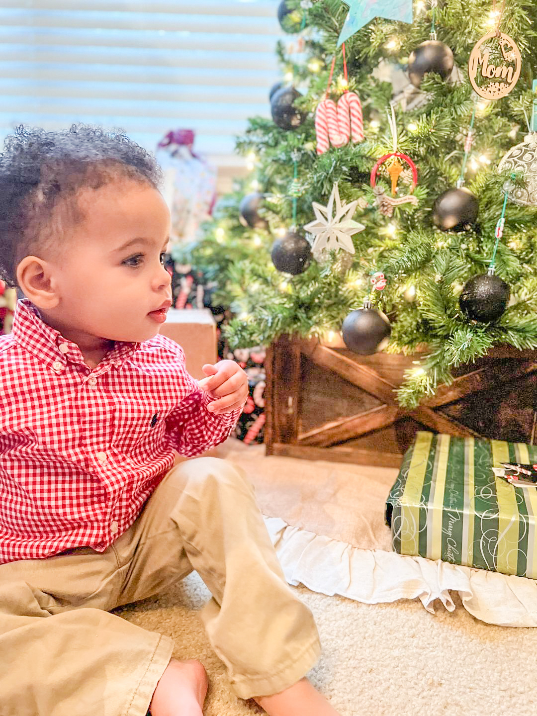 Christmas In Coweta 2022 Application Nth Photo Contest Winners Showcase 'Christmas In Coweta' - The Newnan  Times-Herald