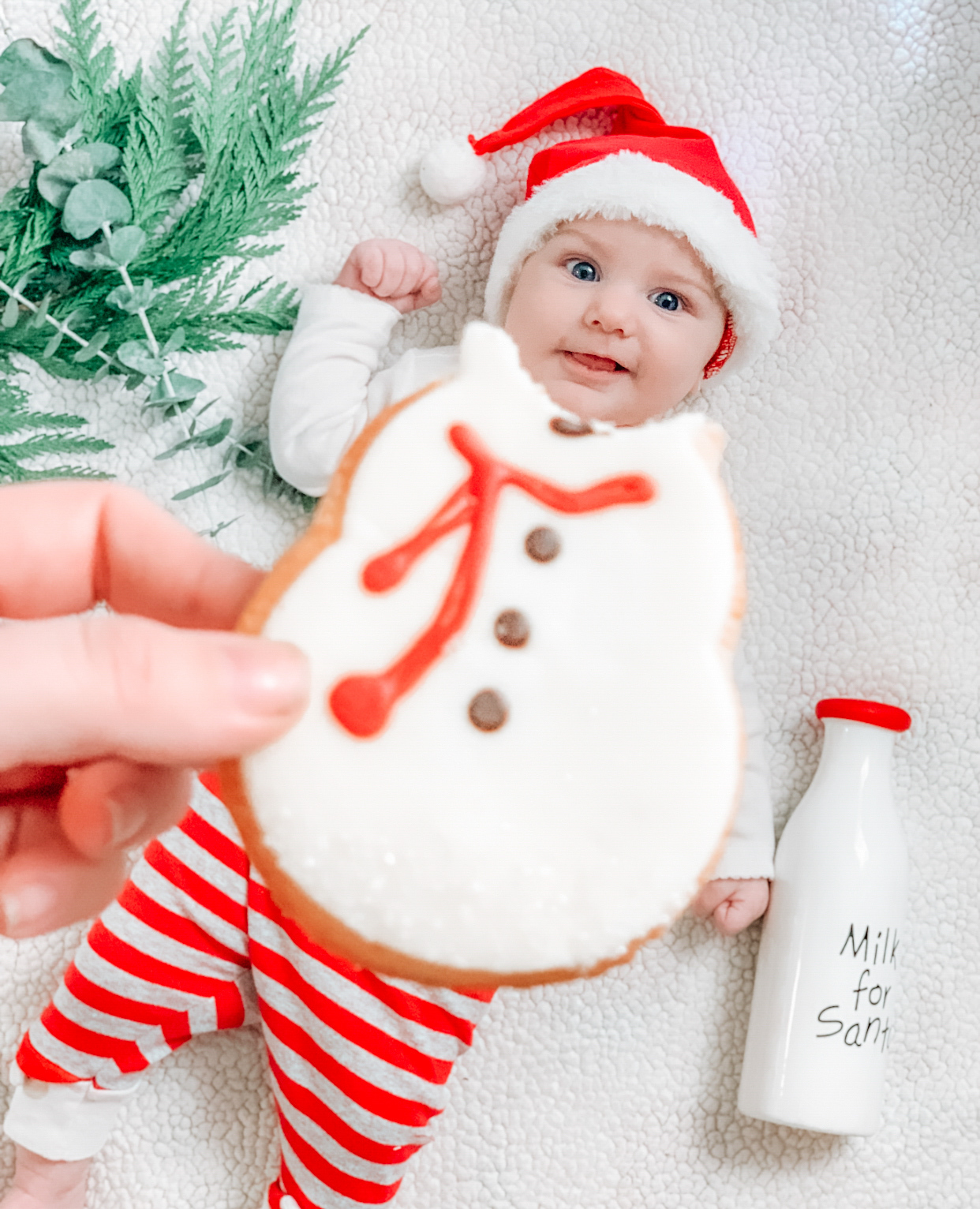 Christmas In Coweta 2022 Application Nth Photo Contest Winners Showcase 'Christmas In Coweta' - The Newnan  Times-Herald